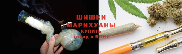 трава Белокуриха