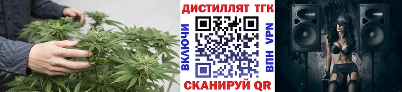 цена   Буйнакск  Дистиллят ТГК THC oil 