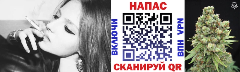 цены наркотик  Буйнакск  Бошки марихуана конопля 